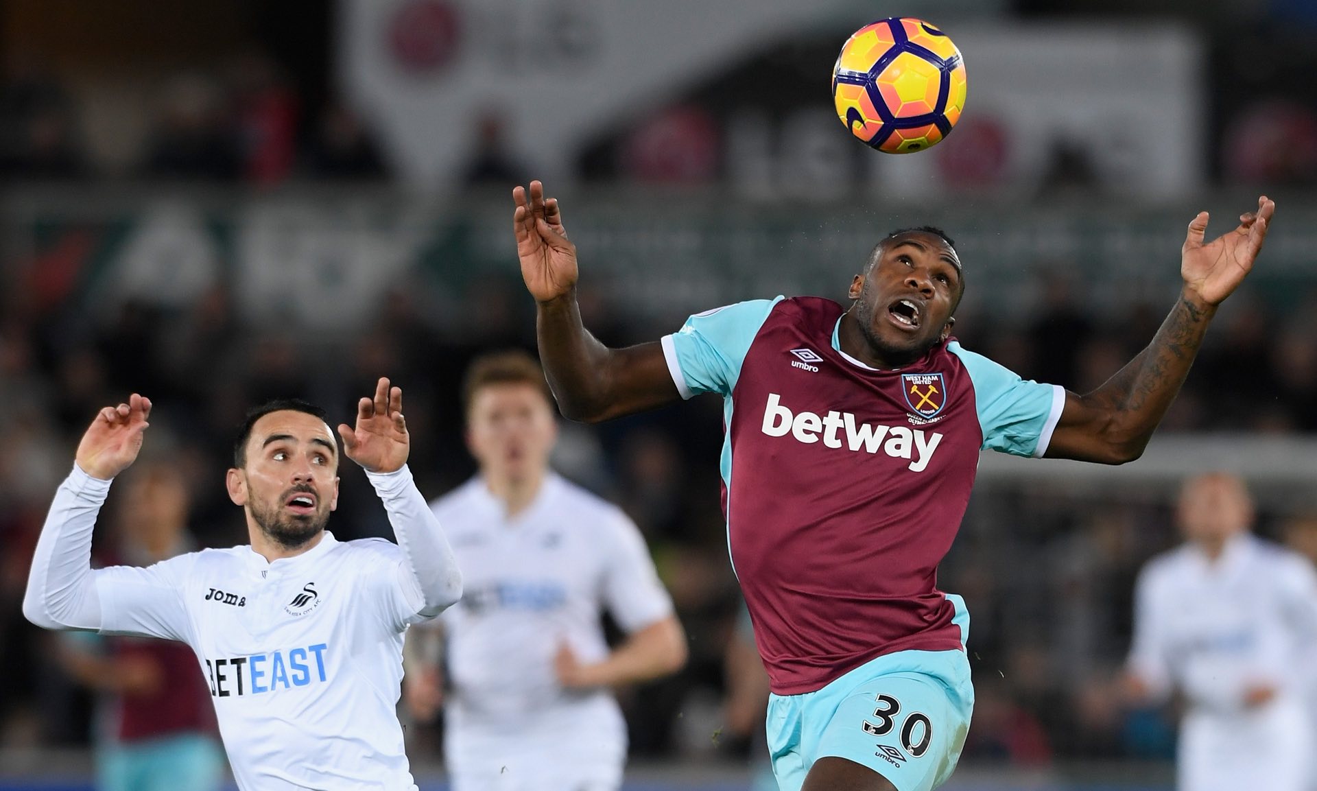 排的详细分 排的详细分